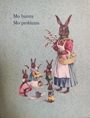 mo bunny IMG_5129.jpg