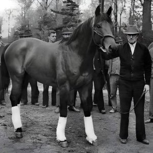 seabiscuit.jpg