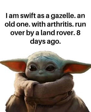 gazellejoke.jpg