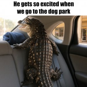 FB_IMG_1748461952249.jpg