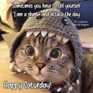 FB_IMG_1748731700680.jpg