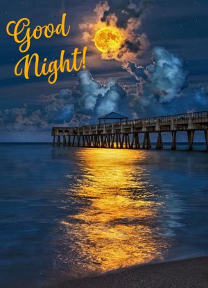 Good Night-5661535679545344-hp2x.jpg
