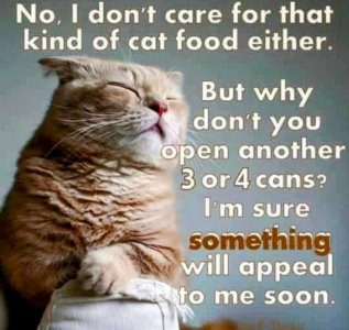FB_IMG_1748749591472.jpg