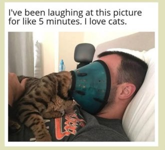 5tf.jpg