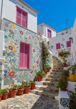 pink shutters.jpg