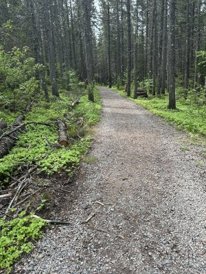 IMG_9039.jpeg