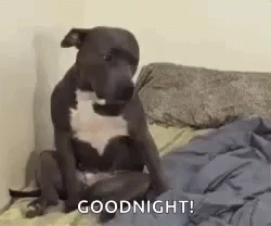 c5ec72f1bfbd60925c263e9c868059fc.gif