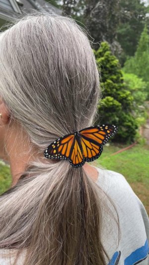 scrunchy butterfly.jpg