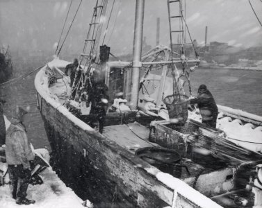 pl23_fizh1951.jpg