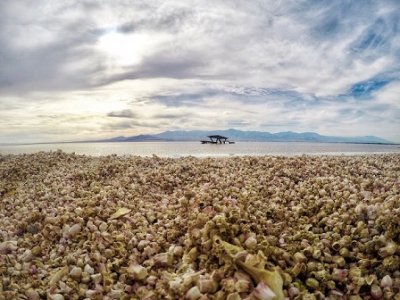 Salton Sea 5.jpg