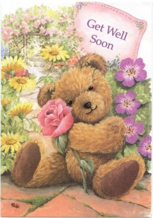 Beautiful-Pic-Of-Get-Well-Soon-2434893802.jpg