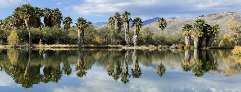 IMG_6318 reflections.jpg