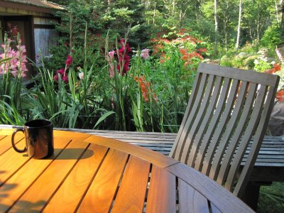 Garden IMG_5969.JPG