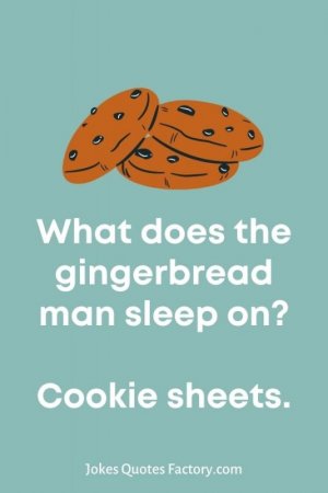 What-does-the-gingerbread-man-sleep-on-Cookie-sheets..jpg