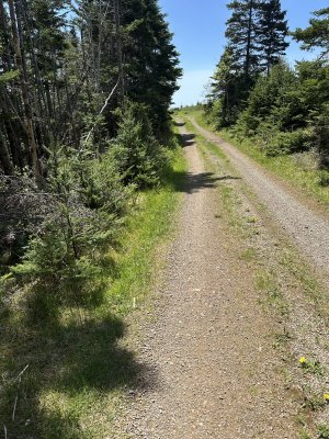 IMG_9058.jpeg