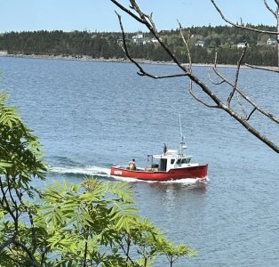 IMG_9057.jpeg