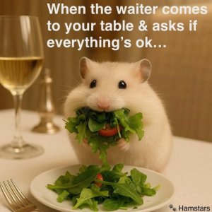 FB_IMG_1748996143727.jpg
