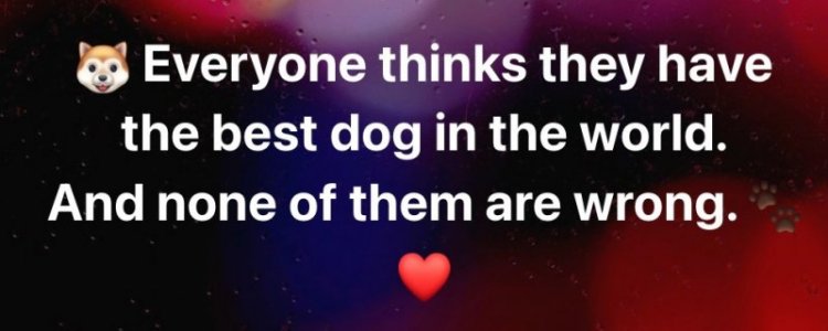 best dog.jpg