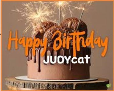 judycat.jpg