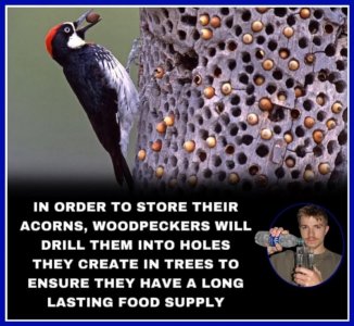 FB_IMG_1749001182146.jpg