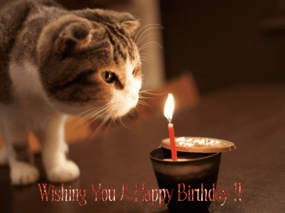 birthdayHap.9.gif