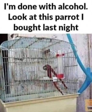 FB_IMG_1749005712604.jpg