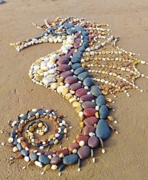 gentle seahorse.jpg