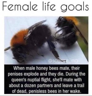 1000005424.jpg