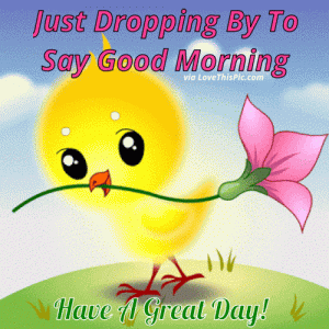 IMG_1684.gif
