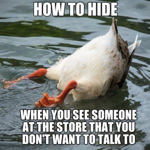 duckhidejoke.jpg