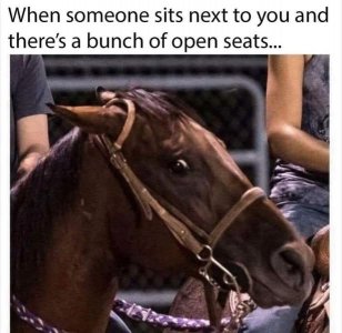 openseatsanimalsfunnyjoke.jpg