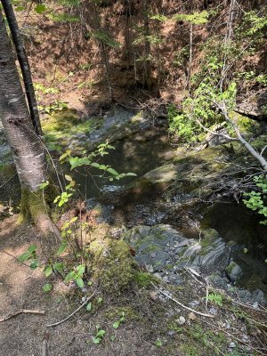 IMG_9075.jpeg