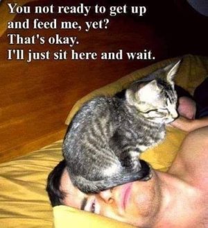 FB_IMG_1749165906644.jpg