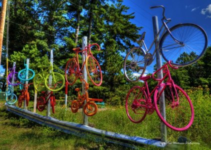 multi-colour-bikes.jpg