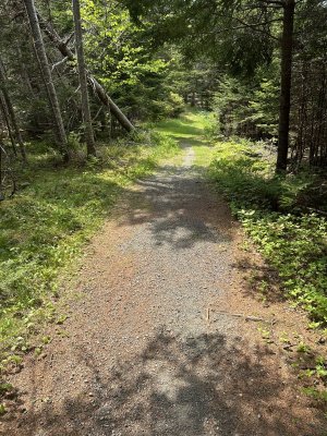 IMG_9087.jpeg