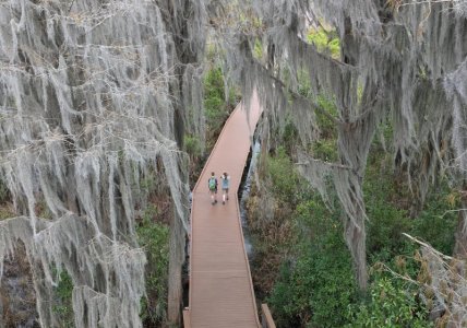 boardwalk.jpg