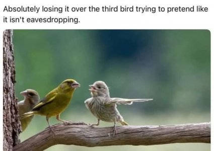 FB_IMG_1749230291295.jpg