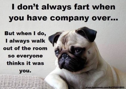 FB_IMG_1749253399668.jpg