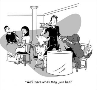 jeremy-nguyen-cartoonsjeremy-nguyen-cartoons-13.jpg