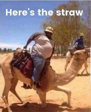 IMG_1701.jpeg