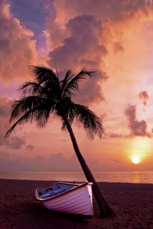 pink boat.jpg