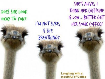 08fd58e3e87896c026ba2ef53ae45f1c--smile-coffee-time.jpg
