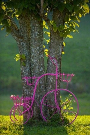 pink skeleton bike.jpg