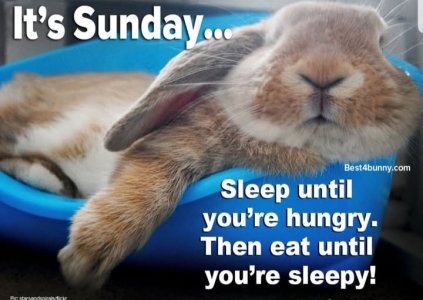 sunday.jpg
