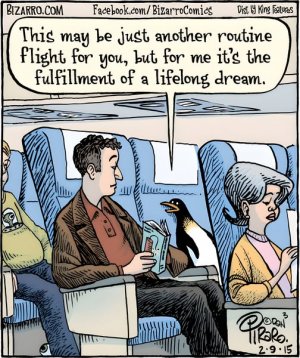 dream.jpg
