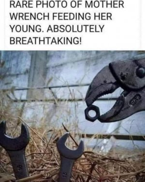 FB_IMG_1749264486239.jpg