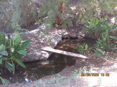 IMG_9572.JPG