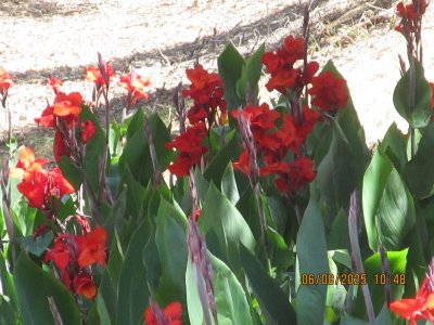 IMG_9568.JPG