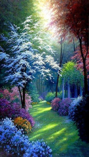 gentle wooded path.jpg