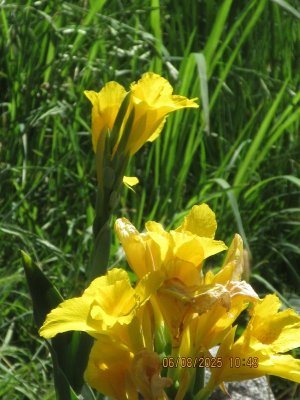 IMG_9569.JPG